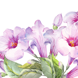 purple-corner.png